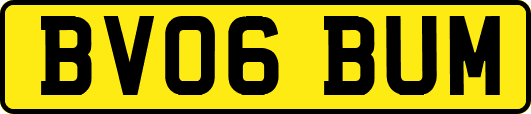BV06BUM