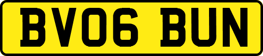 BV06BUN