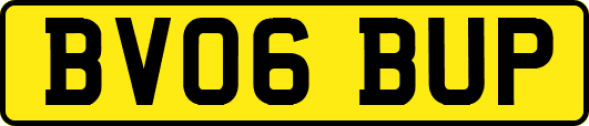 BV06BUP