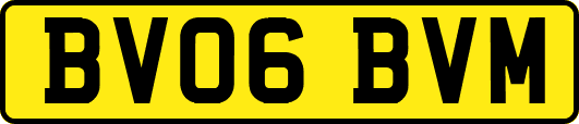 BV06BVM