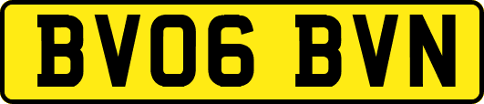 BV06BVN