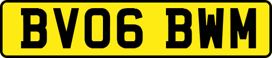 BV06BWM