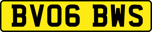 BV06BWS