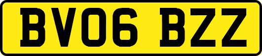 BV06BZZ