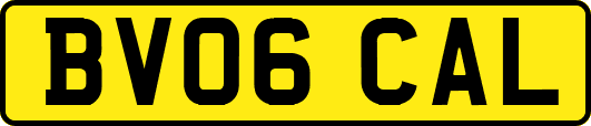 BV06CAL