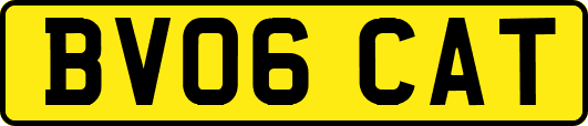 BV06CAT