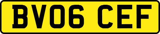 BV06CEF