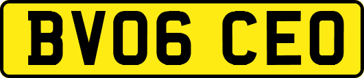 BV06CEO