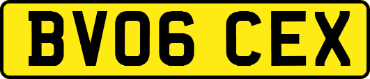 BV06CEX