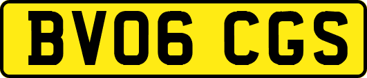 BV06CGS