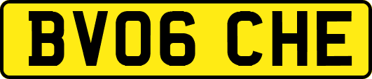 BV06CHE