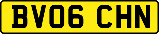 BV06CHN