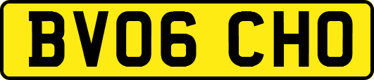 BV06CHO
