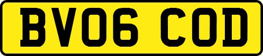 BV06COD