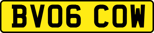 BV06COW