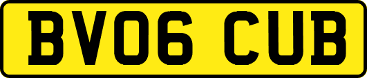 BV06CUB