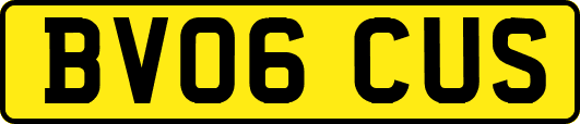 BV06CUS