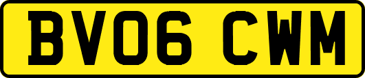 BV06CWM