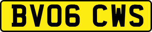 BV06CWS