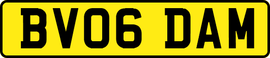 BV06DAM