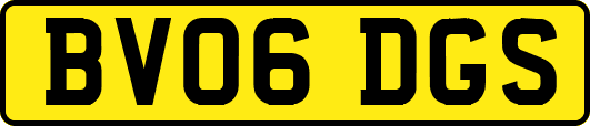 BV06DGS