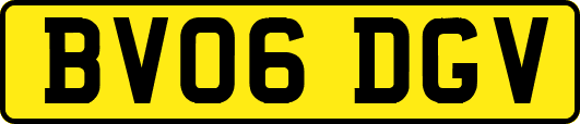 BV06DGV