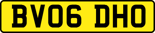 BV06DHO