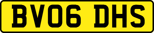 BV06DHS
