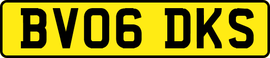 BV06DKS