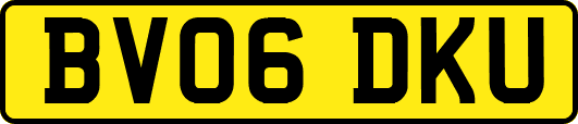 BV06DKU
