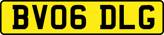BV06DLG
