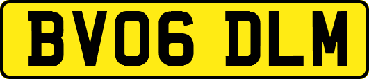 BV06DLM