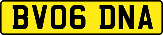 BV06DNA