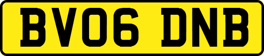 BV06DNB