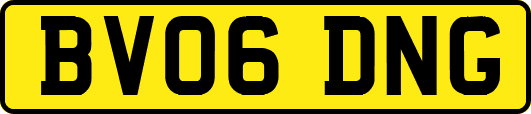 BV06DNG