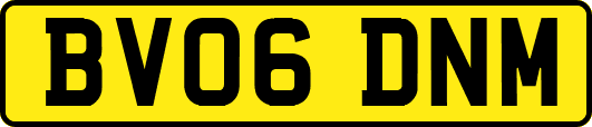 BV06DNM
