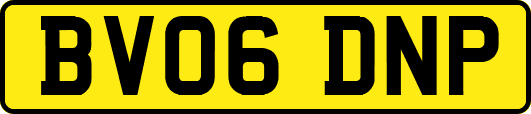 BV06DNP