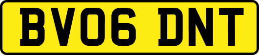 BV06DNT