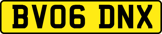 BV06DNX