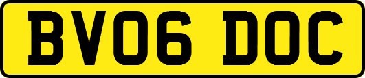 BV06DOC