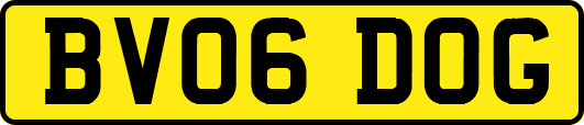 BV06DOG