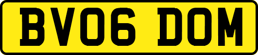 BV06DOM