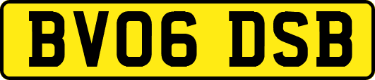 BV06DSB