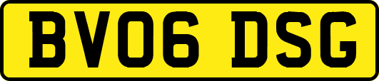 BV06DSG