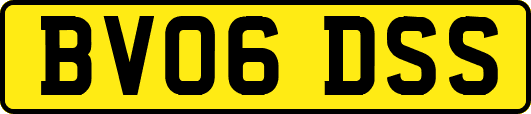 BV06DSS