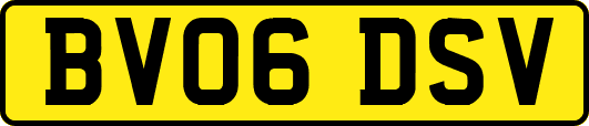 BV06DSV