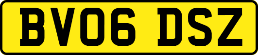 BV06DSZ