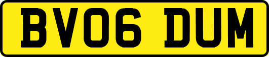 BV06DUM