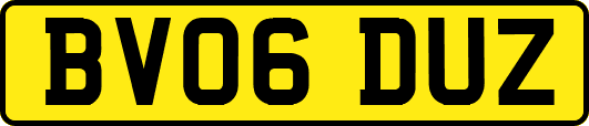 BV06DUZ