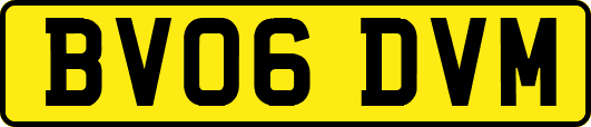 BV06DVM